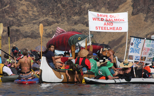 More than 400 people showed up to last year's Free the Snake Flotilla outside of Lewiston, Idaho. (Save Our Wild Salmon)