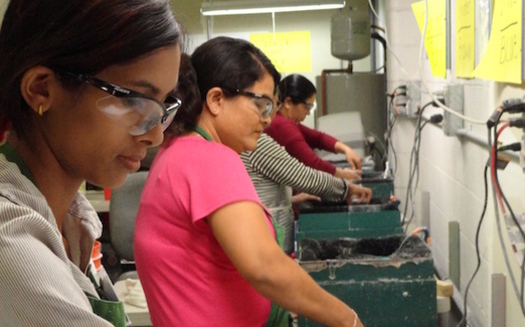 Foreign-born workers make up 90 percent of workers at dairies in Idaho. (Idaho Office for Refugees)
