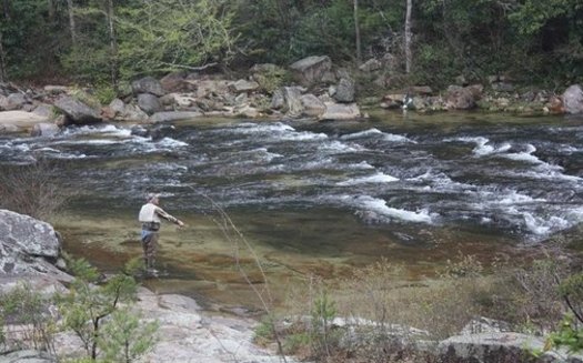 Wilson Creek in Caldwell County has a growing number of outdoor enthusiasts seeking out the area because of improved trout population and waterways. (Trout Unlimited)