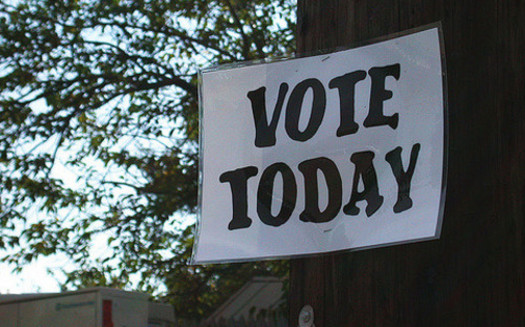 Early voting begins today in North Carolina for the November midterms, and runs until Nov. 3. (Marcia Cirillo)