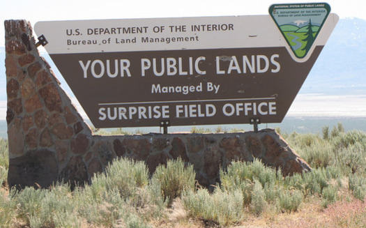 Eight in 10 acres of land in Nevada are federally owned, so public-lands issues are ever present in the state's political debates. (Bureau of Land Management/Flickr)