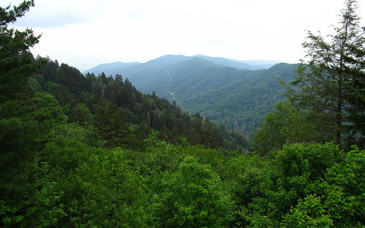 The Great Smoky Mountains are part of an International Biosphere Reserve helping to absorb carbon emissions. (Ken Lund/Flicker)