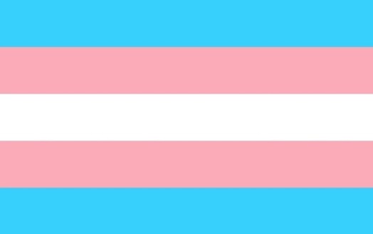About 70 percent of Massachusetts voters supported preserving the state's transgender nondiscrimination law. (katlove/pixabay)
