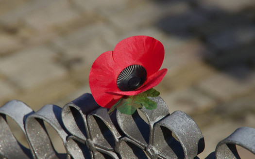Armistice Day, also known as Poppy Day and Remembrance Day, was renamed Veterans Day in 1954. It is observed on Nov. 11 to recall the official end of World War I. (sasastro/Flickr)