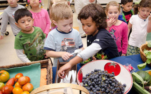 The Minneapolis Public Schools procured 130,000 pounds of produce from 15 farms in 2017. (wbaa.org)