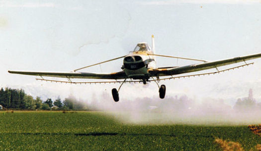 Scientists say the herbicide dicamba often drifts from the fields where it is applied, and ends up killing native plants and birds in nearby areas. (Pholiprids/WikimediaCommons)