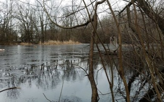 Small streams and wetlands, such as Carmack Woods in Columbus, could lose federal protections. (Dan Keck/Flickr)