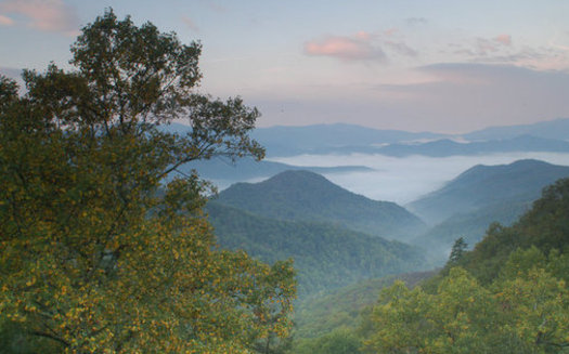According to the Tennessee Department of Tourism, outdoor recreation is the state's second-largest industry. (Tennessee Wild Coalition) 