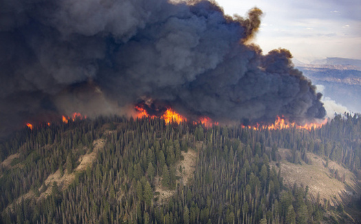 The area burned each year in the Northwest could quadruple by the 2080s if current temperature trends continue. (Kari Greer/U.S. Forest Service)