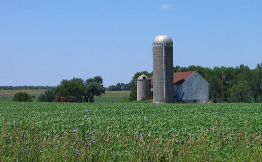 Wisconsin farmers should feel good about the new farm bill, according to one agricultural analyst. (Michael Pereckas/Flickr)