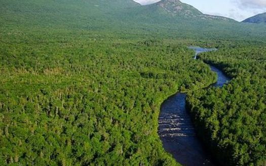 Maine's North Woods, the largest undeveloped forest in the Eastern U.S., could be affected by proposed changes to a state zoning law. (ThomasRobertKelley/Wikimedia Commons)
