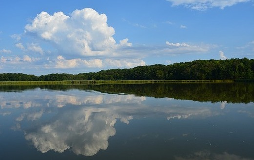 Chesapeake Bay is in danger of increased pollution from rivers and streams. (mcfisher/Pixabay)