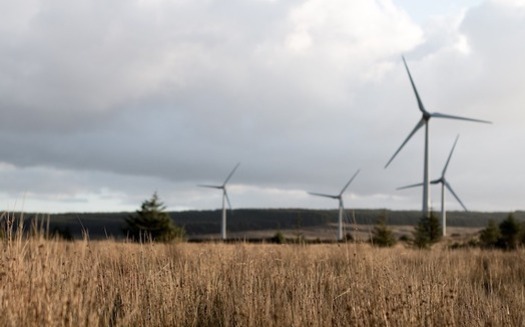 New technologies and operational procedures can reduce the risk wind turbines may pose to wildlife. (Pexels/pixaby)