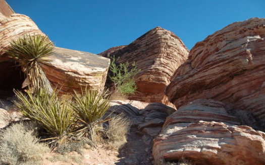Red Rock Canyon is a major draw in Nevada, for visitors and residents alike. (kconnors/morguefile)