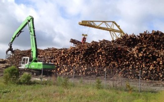 Enviva is one of the largest producers of wood chips and pellets in the world, and plans to expand production in North Carolina. (Southern Environmental Law Center) 