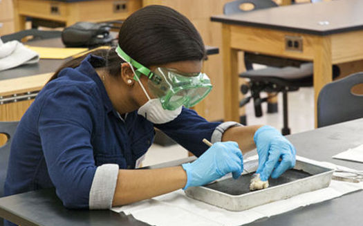 Hundreds of thousands of animals are dissected each year in California schools, which have 6.2 million students in K-12. (Evan Amos/Wikimedia Commons)