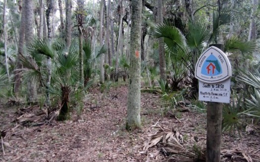 Treasured places in Florida, such as the Florida National Scenic Trail, benefit from the Land and Water Conservation Fund. (USFS)