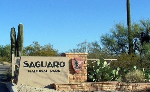 Saguaro National Park, home to Arizona's iconic cactus species, is among the state resources that make use of the Land and Water Conservation Fund. (WikimediaCommons)