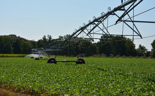 As Texas farmers have increased corn and soy production to reach goals set by the Renewable Fuel Standard, water supplies have been strained. (U Delaware/Flickr)