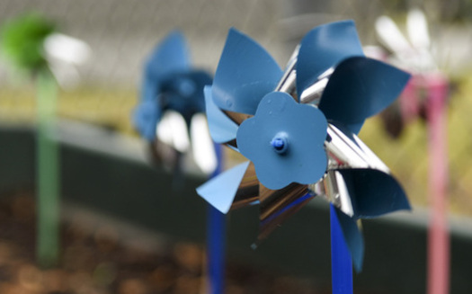Blue pinwheels are the symbol for child-abuse prevention. (Airman Shawna Keyes/Wikimedia Commons)