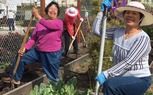 The Florence Fang Asian Community Garden in San Francisco won an AARP Community Challenge grant in 2018. (Johnny Chen)