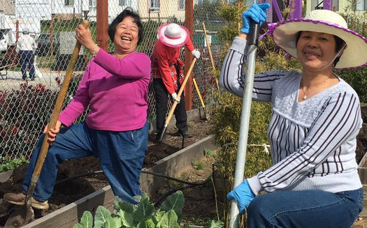 El Florence Fang Asian Community Garden, en San Francisco, gan una Beca AARP Community Challenge en 2018. (Johny Chen)