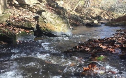 The EPA's proposed rule changes would exempt isolated wetlands, groundwater, mining water, waste treatment ponds and interstate waters from its jurisdiction. (Yadkin Riverkeeper) 