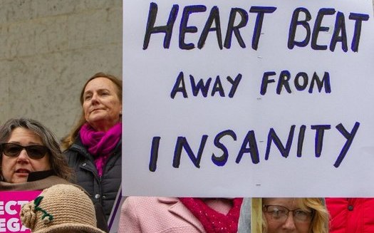 Opponents of Ohio's so-called Heartbeat Bill say many women don't realize they are pregnant until after six weeks. (Johannes Jander/Flickr)