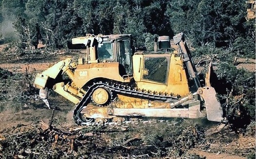 BLM bulldozers, using tools such as bullhog masticators and anchor chains, annually strip thousands of acres of native vegetation from public lands in the West. (WildUtahProject)