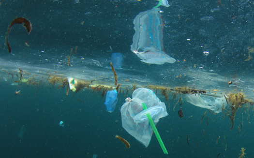 By 2050, experts estimate, there will be more plastic by weight in the oceans than fish. (Richard Carey/Adobe Stock)
