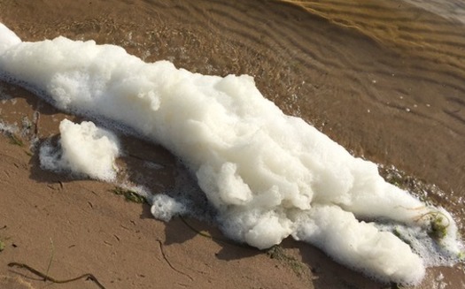 Lake Van Etten is one of many bodies of water in Michigan plagued by PFAS foam. (MI DHHS)