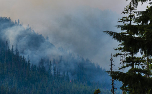 While the severity of wildfires in the Northwest has grown, a new study finds only about a tenth of the historical acreage burns each year. (LDELD/Flickr)