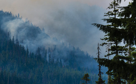 Mientras aumenta la severidad de los incendios en el Noroeste, un nuevo estudio encuentra que slo son la dcima parte de los acres que histricamente arden cada ao. (LDELD/Flickr)