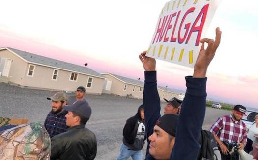 A farmworker holds up a sign that says 