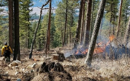 Una investigadora de incendios dice que su estudio muestra que deberan destinarse ms dlares federales a los fuegos prescritos, como medio para prevenir los incendios forestales.  (U.S. Forest Service/Flickr)
