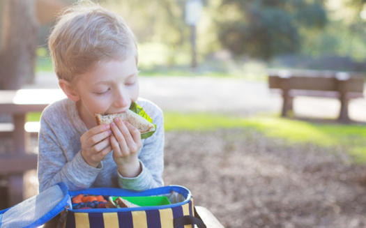 Families spend about $300 more each month on meals during the summer, compared with their food costs during the school year. (Aleksei Potov/Adobe Stock)