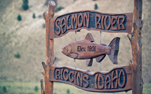 Idaho communities rely on the return of salmon and steelhead each year. (Nan Palmero/Flickr)