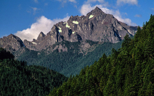 A bill in Congress would protect more than 126,000 acres of Olympic National Forest as wilderness. (U.S. Forest Service/Flickr)