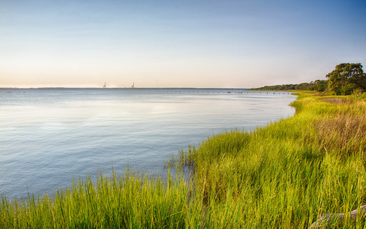 For decades, toxic chemicals known as PFAS seeped into the Cape Fear River in North Carolina, contaminating residents' drinking water supply. (Adobe Stock)