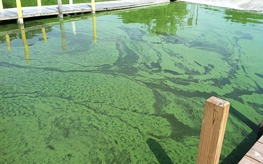 Algal blooms, like this one in Monroe in 2011, are one example of water quality problems in the Great Lakes region. (NOAA Great Lakes Environmental Research Laboratory/Wikimedia Commons)