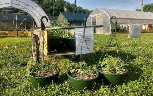 A farm in Berea has partnered with a local substance-abuse treatment center to help women in recovery with job training. (Facebook/Sustainable Berea)