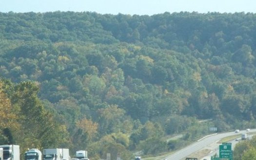 A proposed change to federal environmental policy could fast-track logging on public lands in areas such as the Mark Twain National Forest. (Lance Lowry/Panoramio/Wikimedia Commons)