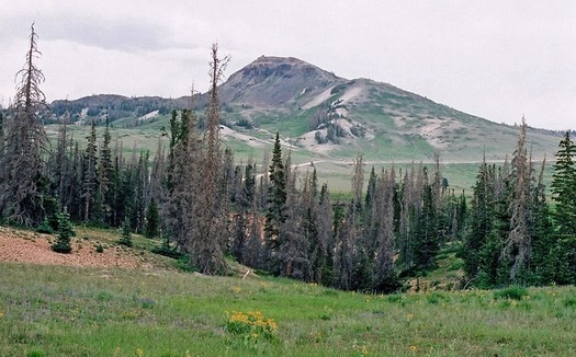 The Dixie National Forest, which covers about 3,000 square miles in southwest Utah, is one of the largest of six national forests in the state. (U.S. Forest Service)