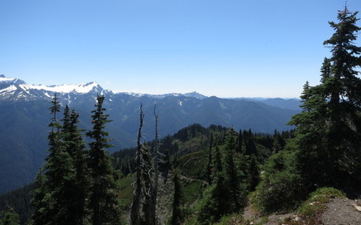 The Washington state Department of Natural Resources oversees about 2 million acres of state-owned forest land. (rnjacobs/Flickr)