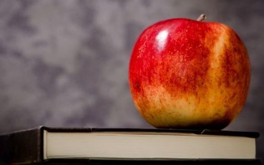 A shortage of substitute teachers is one of the biggest challenges facing Wisconsin school districts in the 2019-2020 term.  (StockSnap)