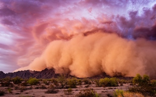 Arizona is affected by several aspects of climate change, including dangerously high temperatures, unhealthy air quality and towering, blinding dust storms called haboobs. (mdesigner125/AdobeStock)