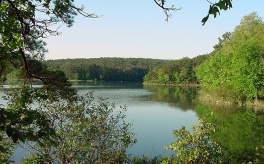 The Ouachita National Forest, which covers about 1.8 million acres in central Arkansas, is one of two national forests in the state. (U.S. Forest Service)