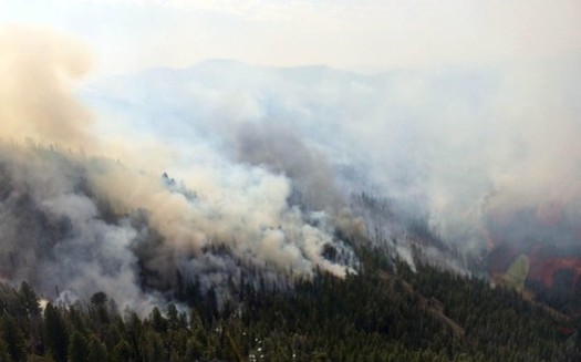 Climate activists say the warming climate is causing an increased threat from wildfires in Idaho. (U.S. Forest Service/Flickr)