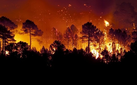 Climatologists say raging wildfires in the Amazon rainforest and in other parts of the world are attributable to global warming. (IAH/AdobeStock)