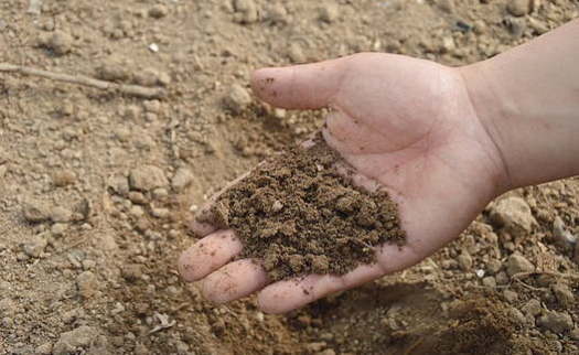 Scientists warn that a warming planet will lead to less productive soil, restricting what can be grown and reducing the soil's ability to absorb carbon. (Nicepik)